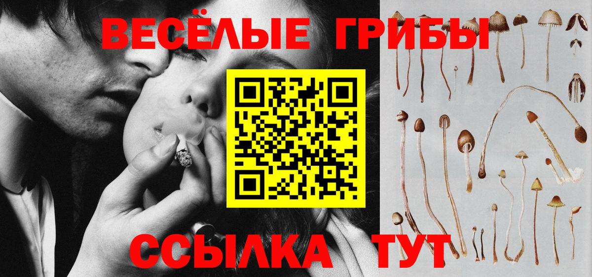 Галлюциногенные грибы ЛСД  Вход с VPN  Лесной  Псилоцибиновые грибы GOLDEN TEACHER 