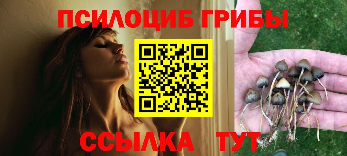 Галлюциногенные грибы MAGIC MUSHROOMS Лесной