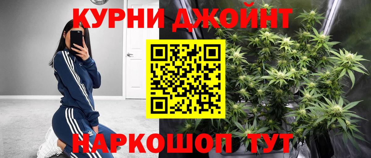 Канабис план  Вход с VPN  Лесной  Шишки марихуана индика  Марихуана план 